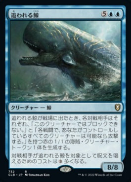 naokuroshop MTG [CLB][732][青][R][JP][追われる鯨/Pursued Whale] NM