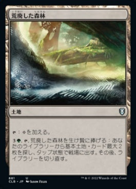 naokuroshop MTG [CLB][881][土地][U][JP][荒廃した森林/Blighted Woodland] NM