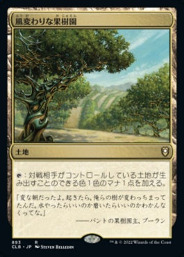 naokuroshop MTG [CLB][893][土地][R][JP][風変わりな果樹園/Exotic Orchard] NM