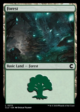 naokuroshop MTG [CLU][0273][土地][C][EN][森/Forest] NM