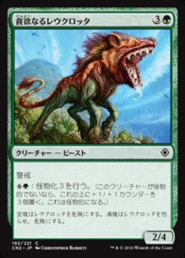 naokuroshop MTG [CN2][192][緑][C][JP][貪欲なるレウクロッタ/Ravenous Leucrocota] NM