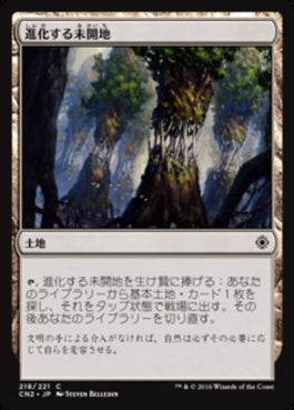 naokuroshop MTG [CN2][218][無][C][JP][進化する未開地/Evolving Wilds] NM