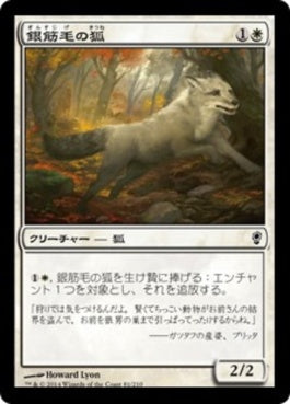 naokuroshop MTG [CNS][081][白][C][JP][銀筋毛の狐/Silverchase Fox] NM