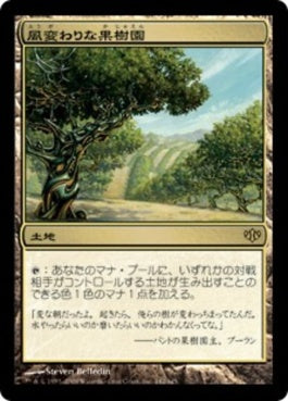naokuroshop MTG [CON][142][土地][R][JP][風変わりな果樹園/Exotic Orchard] NM