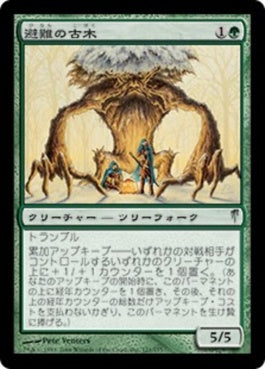 naokuroshop MTG [CSP][121][緑][U][JP][避難の古木/Sheltering Ancient] NM