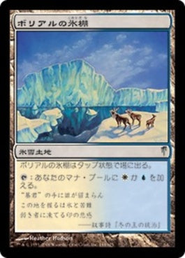 naokuroshop MTG [CSP][144][土地][U][JP][ボリアルの氷棚/Boreal Shelf] NM