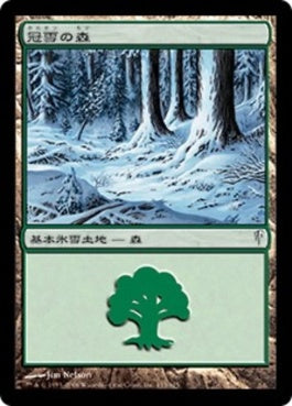 naokuroshop MTG [CSP][155][土地][C][JP][冠雪の森/Snow-Covered Forest] NM