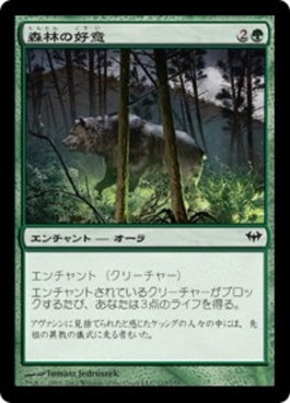 naokuroshop MTG [DKA][113][緑][C][JP][森林の好意/Favor of the Woods] NM