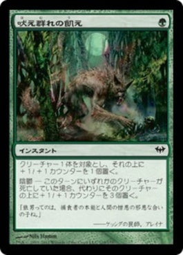 naokuroshop MTG [DKA][119][緑][C][JP][吠え群れの飢え/Hunger of the Howlpack] NM