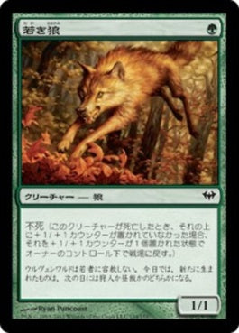 naokuroshop MTG [DKA][134][緑][C][JP][若き狼/Young Wolf] NM