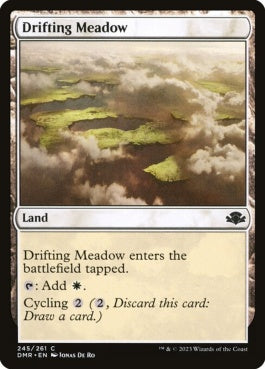 naokuroshop MTG [DMR][245][土地][C][EN][漂う牧草地/Drifting Meadow] NM