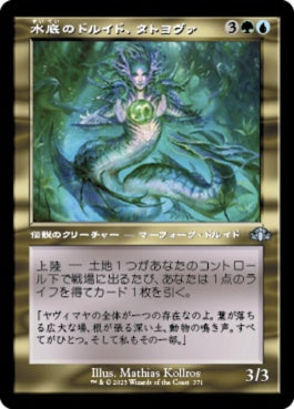 naokuroshop MTG [DMR][371][多][U][JP][水底のドルイド、タトヨヴァ/Tatyova, Benthic Druid]（Foil） NM