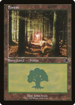 naokuroshop MTG [DMR][410][土地][C][EN][森/Forest]（Foil） NM