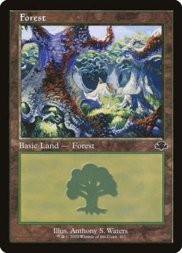 naokuroshop MTG [DMR][411][土地][C][EN][森/Forest]（Foil） NM