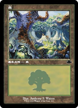 naokuroshop MTG [DMR][411][土地][C][JP][森/Forest]（Foil） NM