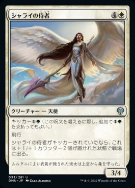 naokuroshop MTG [DMU][033][白][U][JP][シャライの侍者/Shalai's Acolyte]（foil） NM