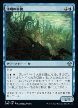 naokuroshop MTG [DMU][045][青][U][JP][珊瑚の群棲/Coral Colony]（foil） NM