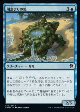 naokuroshop MTG [DMU][069][青][C][JP][潮溜まりの亀/Tidepool Turtle] NM