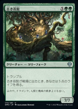 naokuroshop MTG [DMU][173][緑][U][JP][古き苔髭/Mossbeard Ancient] NM