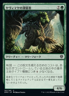 naokuroshop MTG [DMU][191][緑][C][JP][ヤヴィマヤの滞留者/Yavimaya Sojourner]（foil） NM