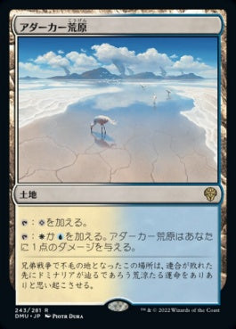 naokuroshop MTG [DMU][243][土地][R][JP][アダーカー荒原/Adarkar Wastes]（foil） NM