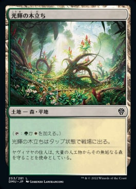 naokuroshop MTG [DMU][253][土地][C][JP][光輝の木立ち/Radiant Grove]（foil） NM