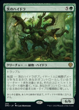 naokuroshop MTG [DMU][286][緑][R][JP][茨のハイドラ/Briar Hydra]（foil） NM