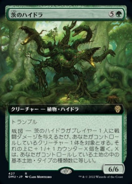 naokuroshop MTG [DMU][427][緑][R][JP][茨のハイドラ/Briar Hydra] NM