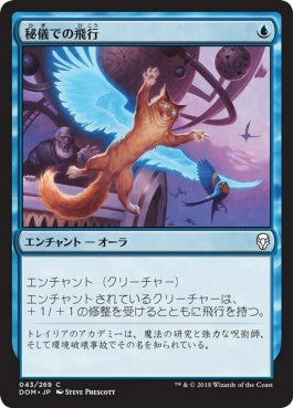 naokuroshop MTG [DOM][043][青][C][JP][秘儀での飛行/Arcane Flight] NM