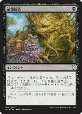 naokuroshop MTG [DOM][094][黒][C][JP][菌類感染/Fungal Infection] NM