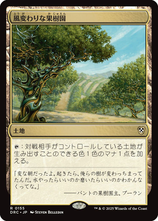 naokuroshop MTG [DRC][0155][土地][R][JP][風変わりな果樹園/Exotic Orchard] NM
