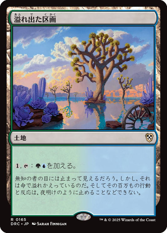 naokuroshop MTG [DRC][0165][土地][R][JP][溢れ出た区画/Overflowing Basin] NM