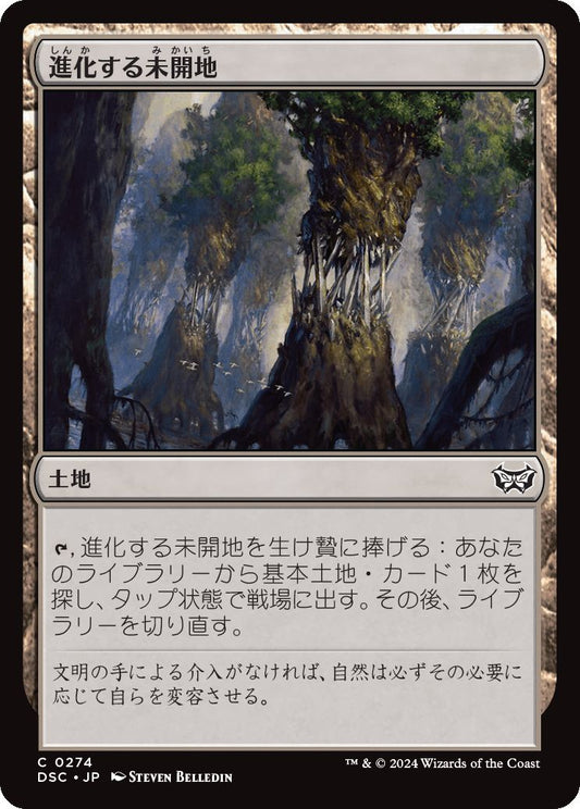 naokuroshop MTG [DSC][0274][土地][C][JP][進化する未開地/Evolving Wilds] NM