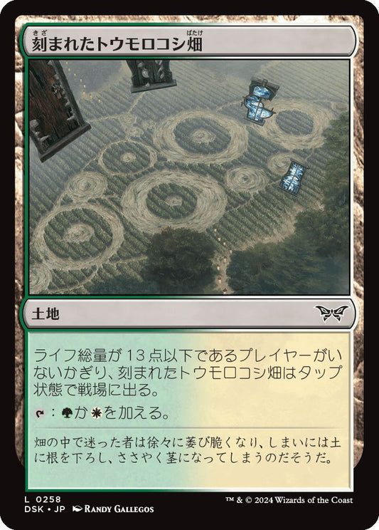 naokuroshop MTG [DSK][0258][土地][C][JP][刻まれたトウモロコシ畑/Etched Cornfield]（foil） NM