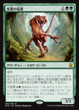 naokuroshop MTG [DTK][180][緑][M][JP][死霧の猛禽/Deathmist Raptor] NM