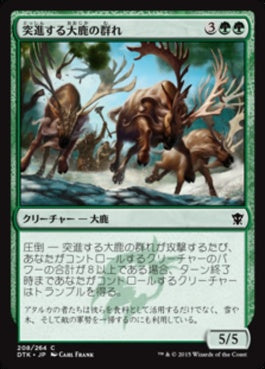 naokuroshop MTG [DTK][208][緑][C][JP][突進する大鹿の群れ/Stampeding Elk Herd] NM