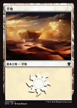 naokuroshop MTG [DTK][250][土地][C][JP][平地/Plains] NM