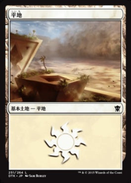 naokuroshop MTG [DTK][251][土地][C][JP][平地/Plains] NM