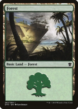 naokuroshop MTG [DTK][262][土地][C][EN][森/Forest] NM