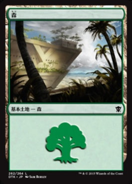 naokuroshop MTG [DTK][262][土地][C][JP][森/Forest] NM