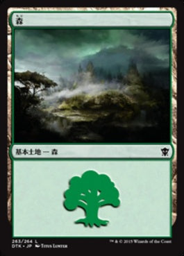 naokuroshop MTG [DTK][263][土地][C][JP][森/Forest] NM