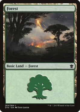 naokuroshop MTG [DTK][264][土地][C][EN][森/Forest] NM