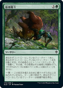 naokuroshop MTG [ELD][170][緑][C][EN][筋骨隆々/Outmuscle]（foil） NM