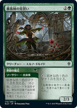 naokuroshop MTG [ELD][174][緑][C][JP][薔薇棘の見習い/Rosethorn Acolyte] NM