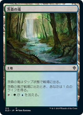 naokuroshop MTG [ELD][313][土地][C][JP][茨森の滝/Thornwood Falls] NM