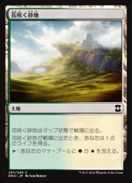 naokuroshop MTG [EMA][237][土地][C][JP][花咲く砂地/Blossoming Sands] NM