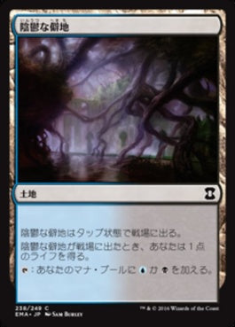 naokuroshop MTG [EMA][238][土地][C][JP][陰鬱な僻地/Dismal Backwater] NM