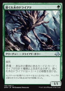 naokuroshop MTG [EMN][159][緑][U][JP][節くれ木のドライアド/Gnarlwood Dryad] NM