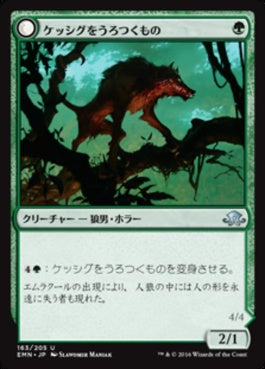 naokuroshop MTG [EMN][163][緑][U][JP][ケッシグをうろつくもの/Kessig Prowler] NM