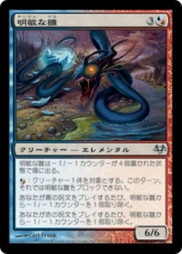 naokuroshop MTG [EVE][112][多][U][JP][明敏な雛/Shrewd Hatchling] NM